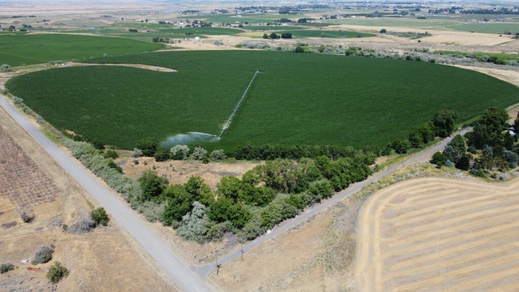 Farm And Agriculture Othello In Othello, Washington, United States For