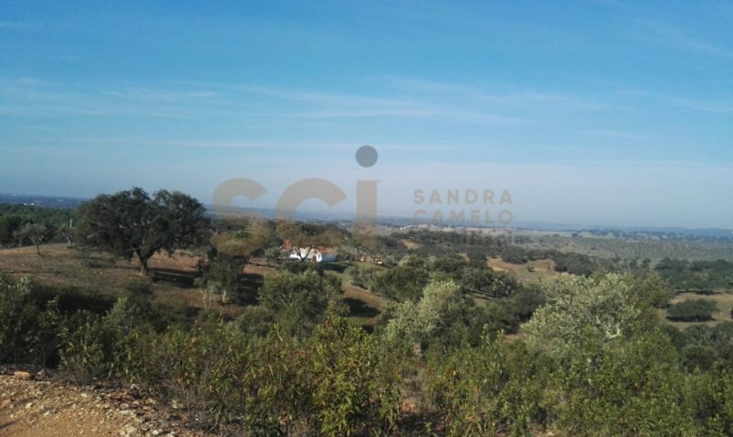 Terreno Rústico Con Cerca En Vila Verde De Ficalho, Distrito De Beja