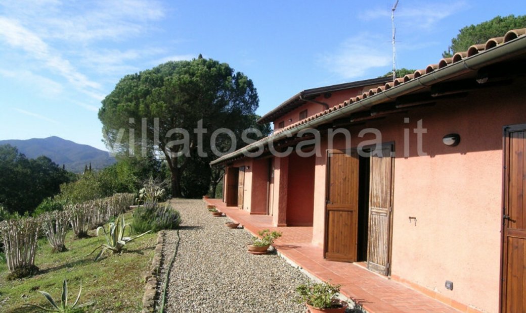 Grosseto Single House In Tuscany, Italy For Sale (12118594)