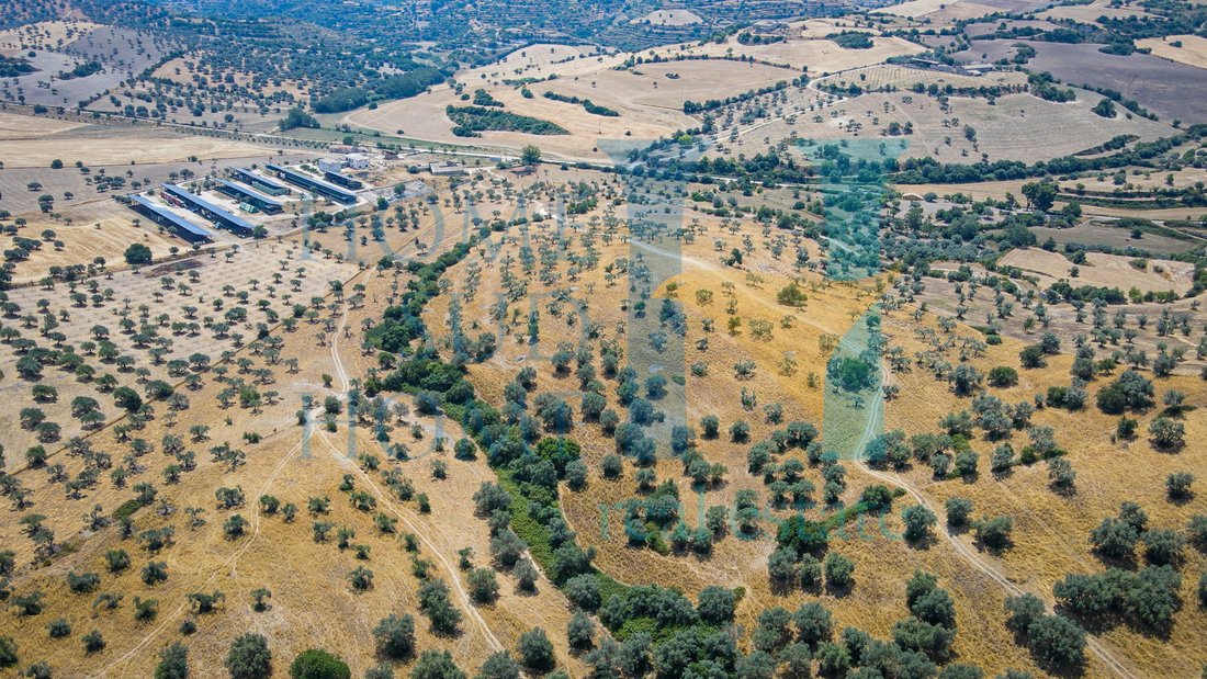 Villa in Rosolini, Sicily, Italy 3 - 12124976
