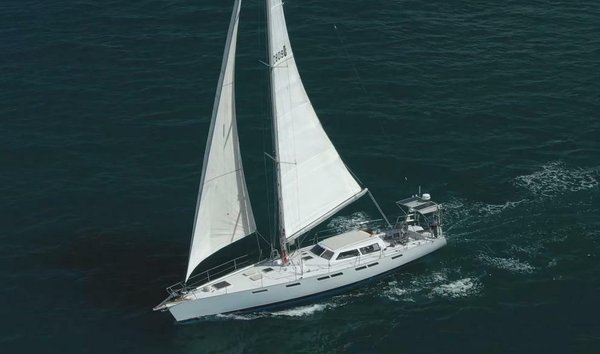 Wylie 60 (12123987)