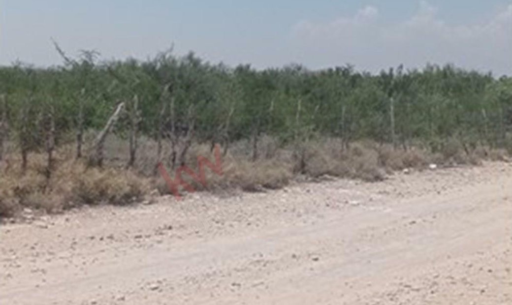 Lots And Land Ciénega De Flores In Ciénega De Flores, Nuevo Leon
