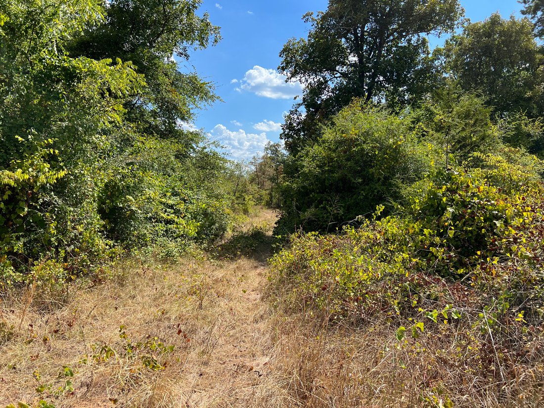 Vacant Land (10+ Acres) In Harleton, Texas, United States For Sale
