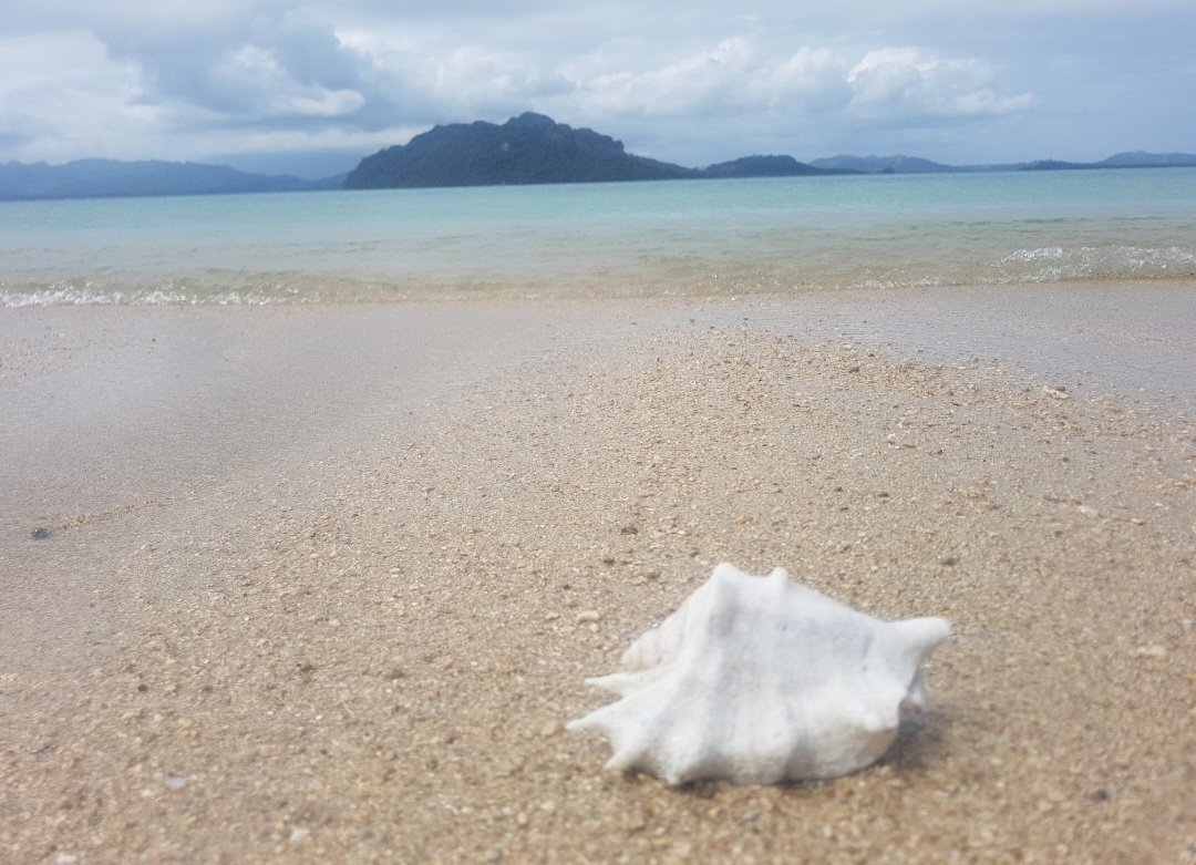 New...Updated...Incredibly Stunning Private Island In Palawan view 4