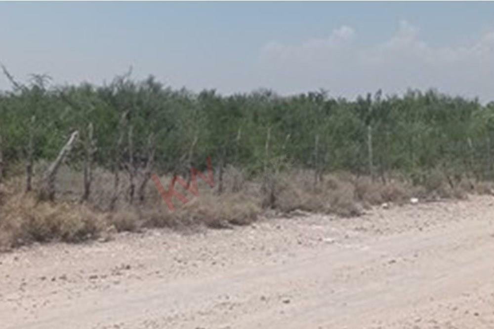 Lots And Land Ciénega De Flores In Ciénega De Flores, Nuevo Leon