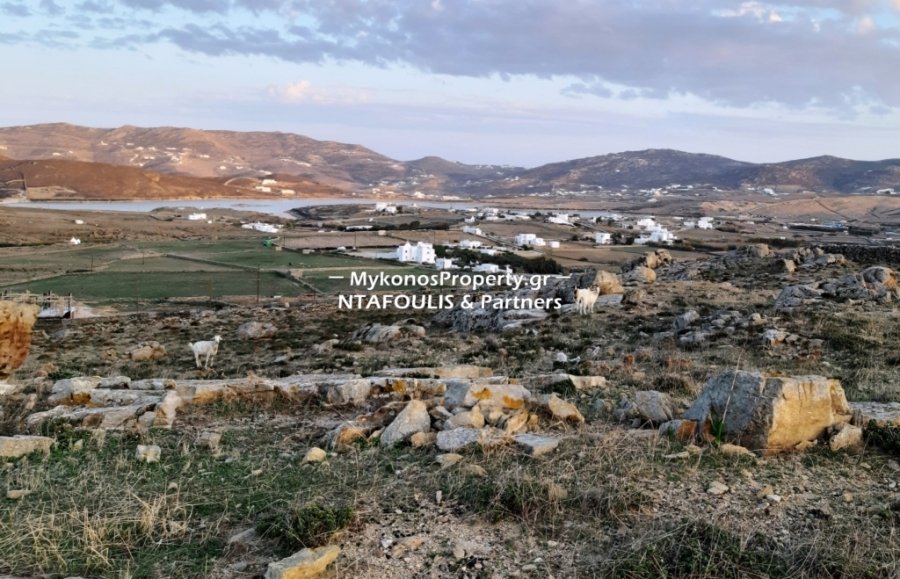 Mykonos, Aegean, Greece 1 - 11553481
