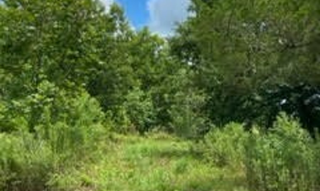 Lots And Land Opelousas In Opelousas, Louisiana, United States For Sale
