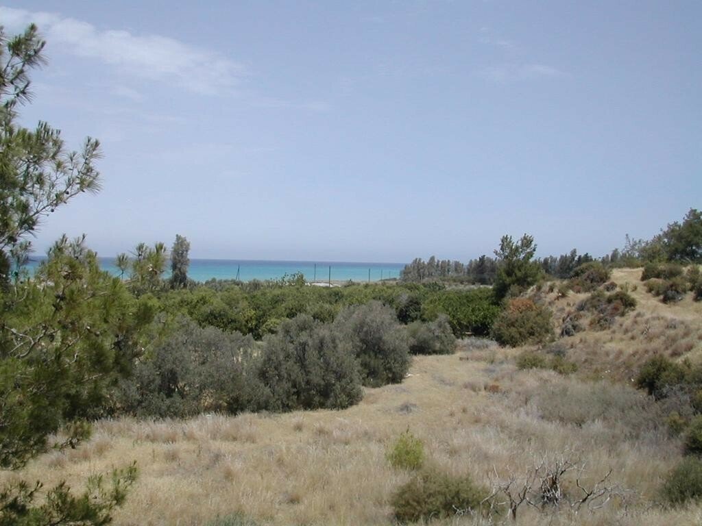 Land in Gialia, Paphos, Cyprus 1 - 12134152