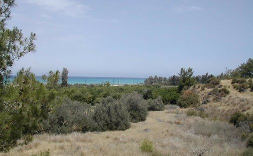 Land in Gialia, Paphos, Cyprus 1
