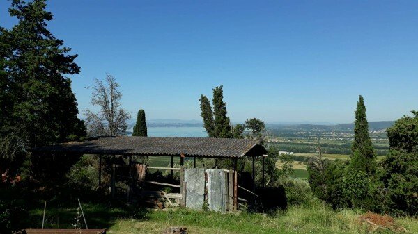 House in Passignano sul Trasimeno, Umbria, Italy 4 - 12131271