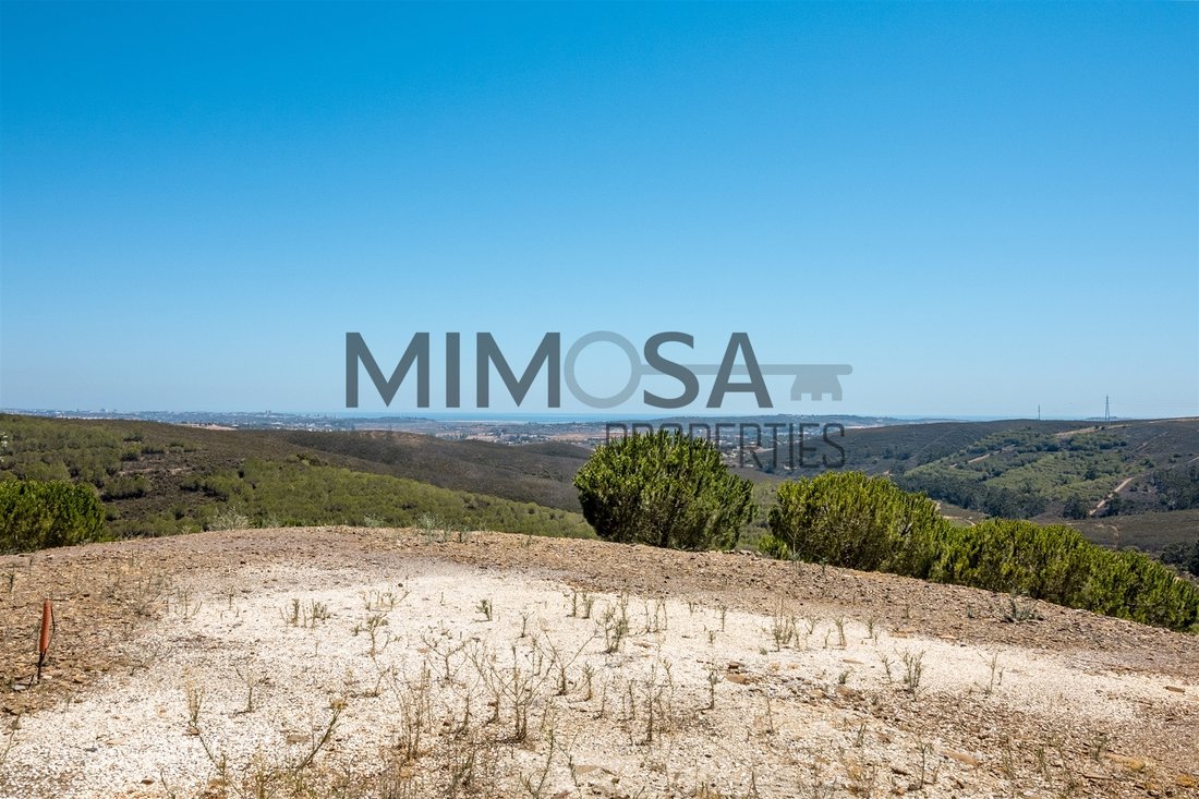 Farm Ranch in Odiaxere, Algarve, Portugal 4 - 11858443