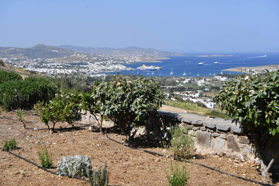 Terreno a Paro, Aegean, Grecia 5 - 10810368