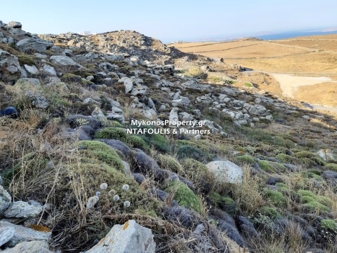 Mykonos, Aegean, Greece 5 - 12139960