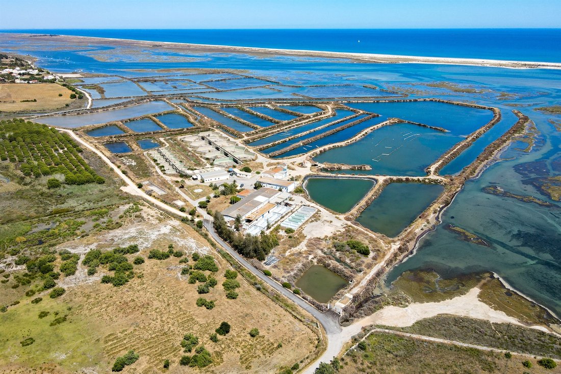 Farm Ranch in Tavira (Santa Maria e Santiago), Algarve, Portugal 1 - 12152079