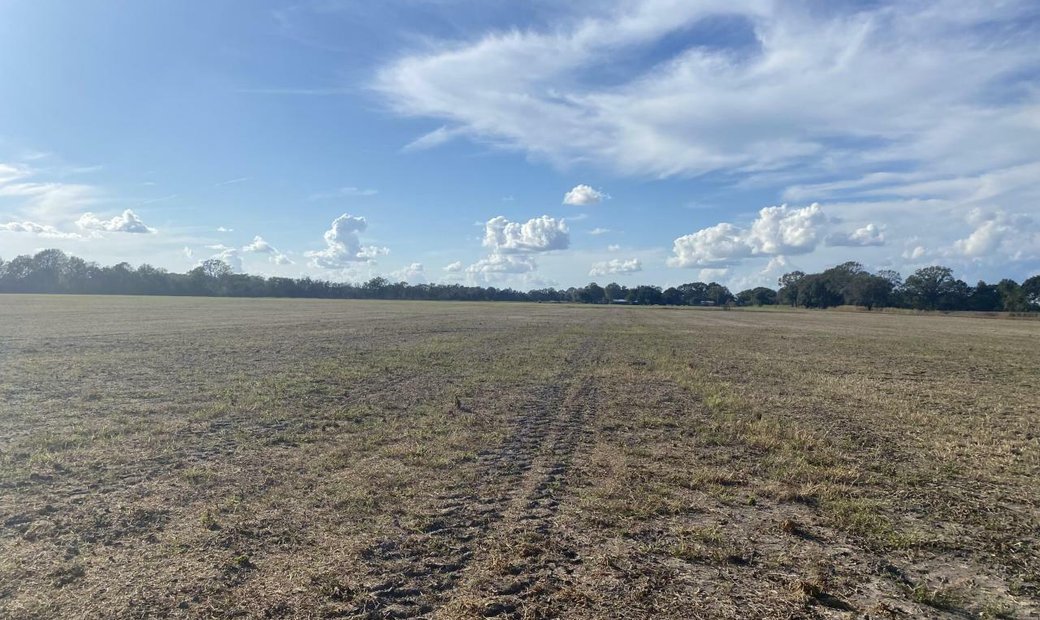 Spacious Plot Of Land In Rural Louisiana In Opelousas, Louisiana