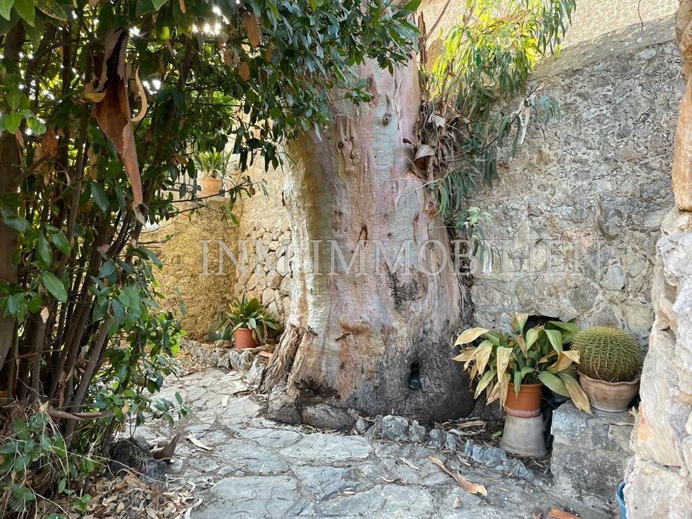 Estate in Mancor de la Vall, Balearic Islands, Spain 4 - 12155753