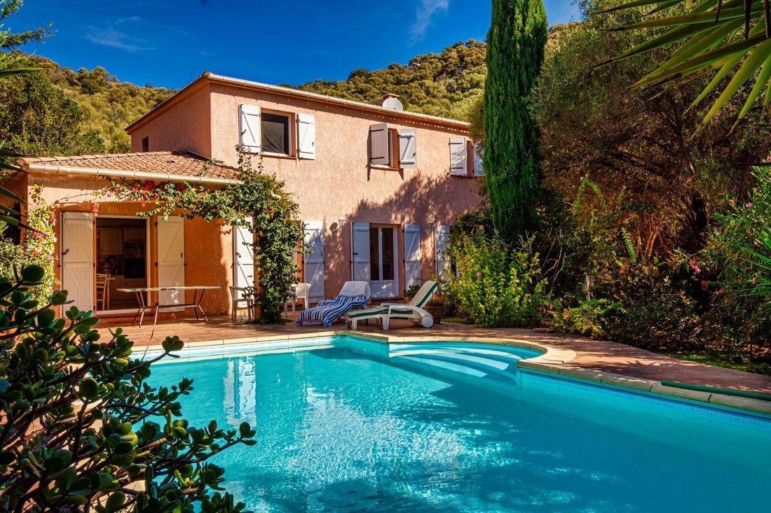 A te promo corsica