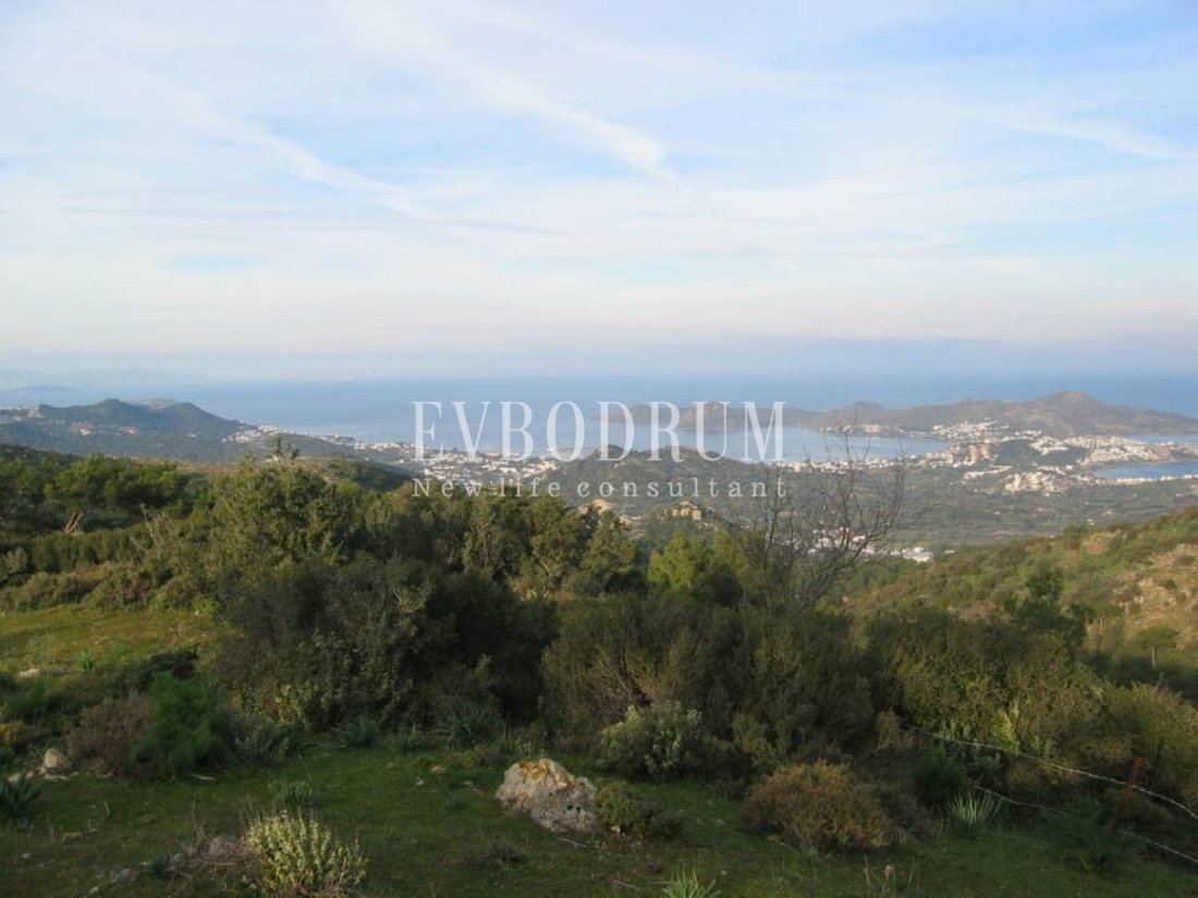 Villa in Bodrum, Muğla, Turkey 2 - 12137350