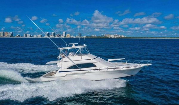 Bertram Sportfish (12177763)
