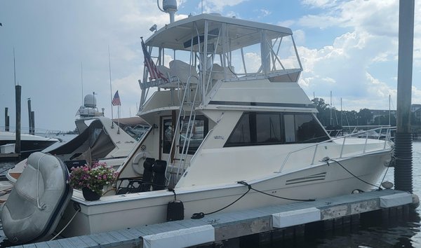Viking 41 Convertible (12177797)