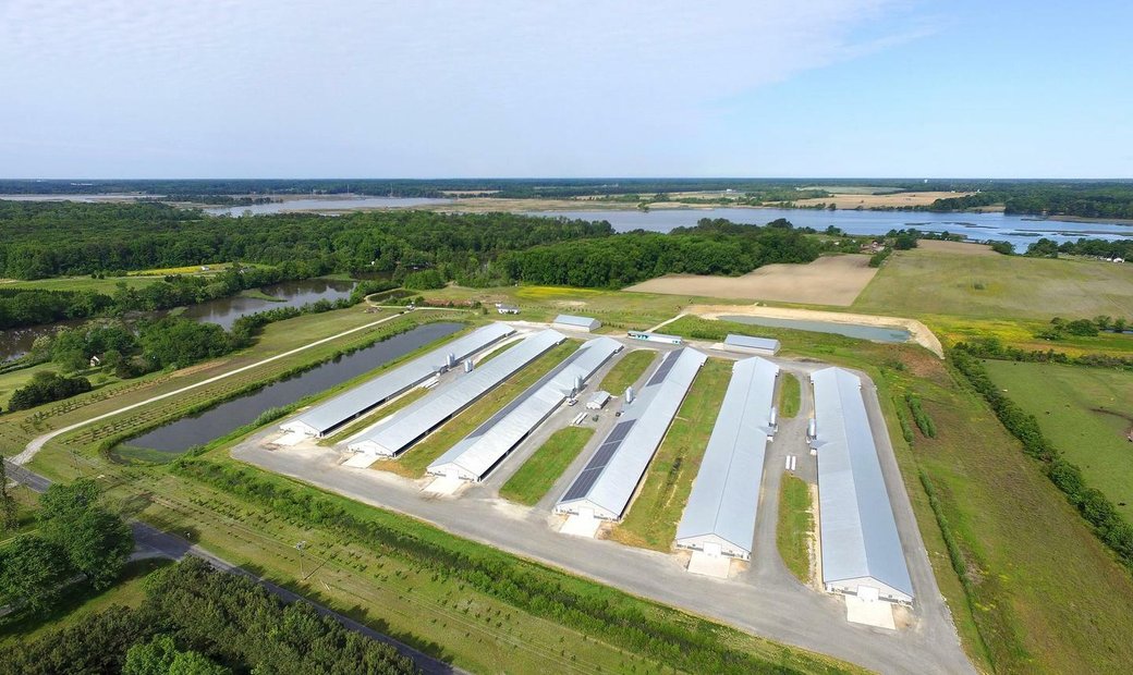 Granja/Rancho En Preston, Maryland, Estados Unidos En Venta (12178969)