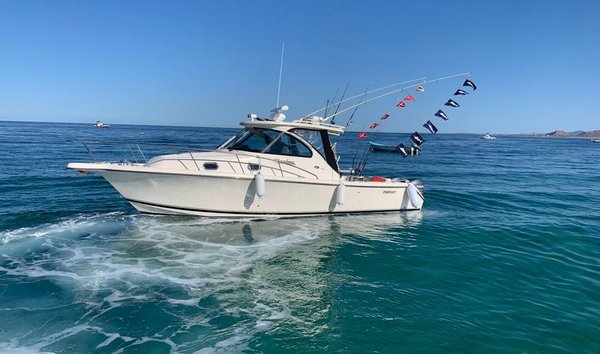 Pursuit OS 315 Offshore (12149600)
