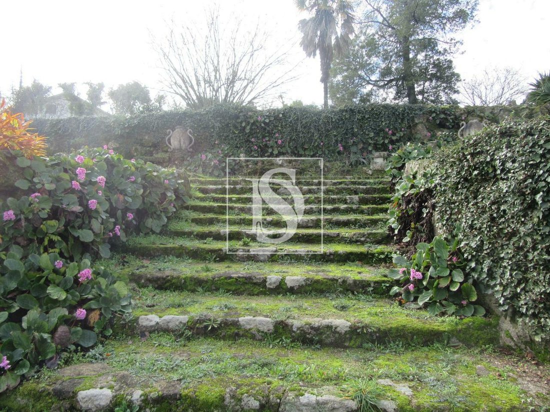 Tondela In Tondela, Viseu District, Portugal For Sale (12182046)