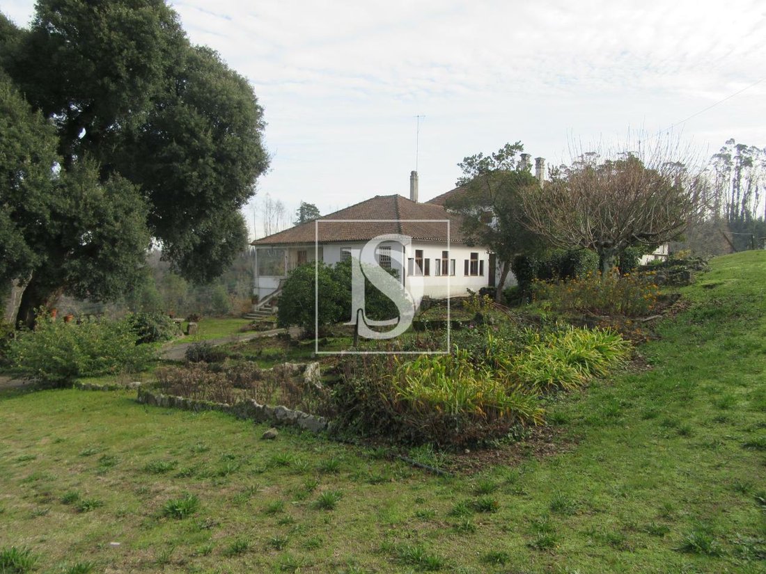 Tondela In Tondela, Viseu District, Portugal For Sale (12182046)