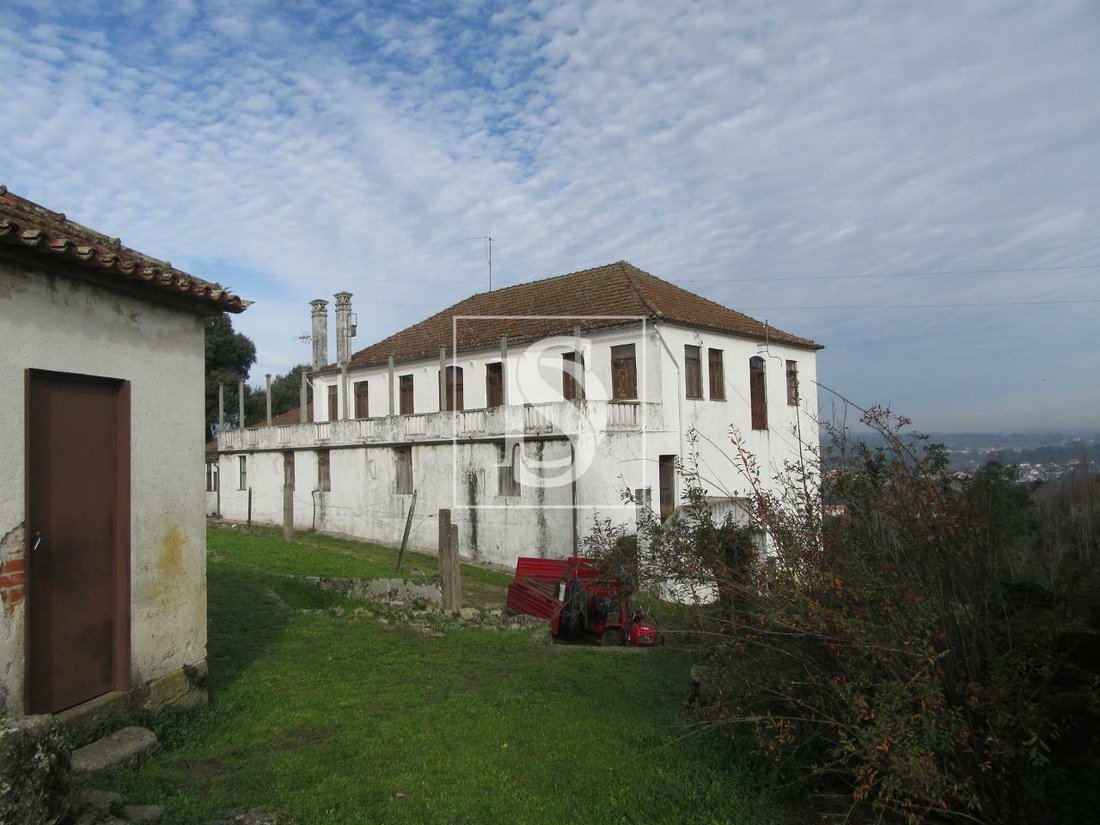 Tondela In Tondela, Viseu District, Portugal For Sale (12182046)