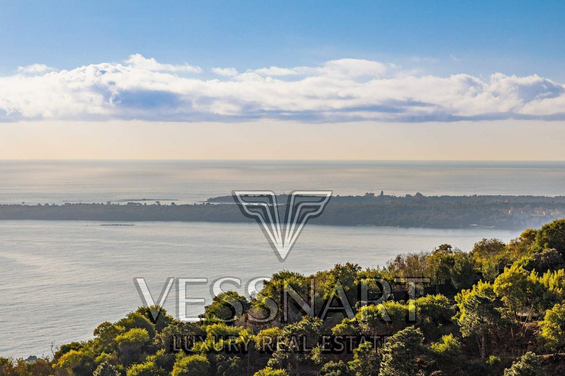 Villa in La Maure-Super Cannes, Vallauris, France 5 - 12189078