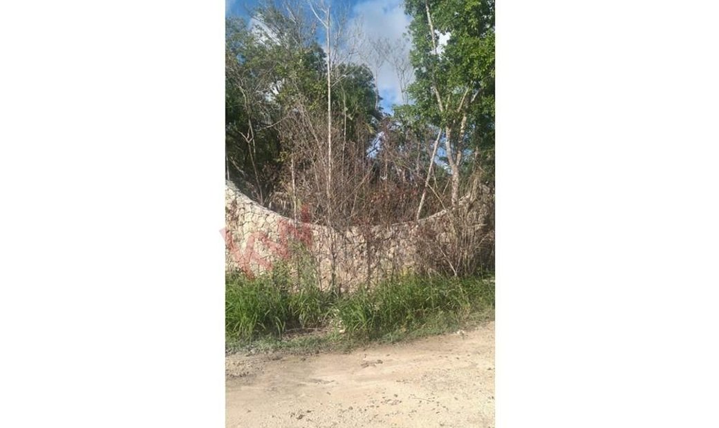 Lots And Land Cancún In Alfredo V. Bonfil, Quintana Roo, Mexico For