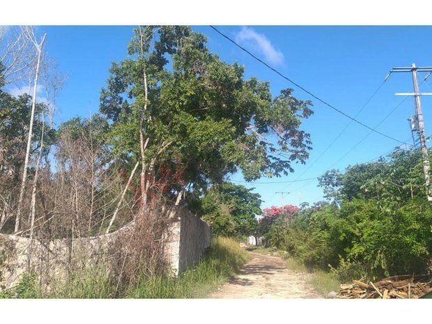 Luxury Water View Homes For Sale In Alfredo V Bonfil Quintana Roo Mexico Jamesedition 