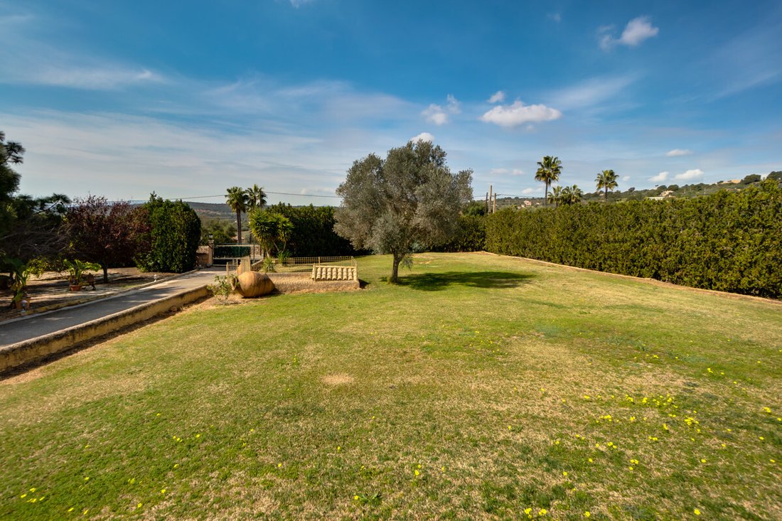 Finca in Palma, Balearic Islands, Spain 3 - 12003139