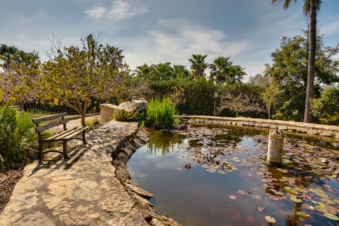 Finca in Palma, Balearic Islands, Spain 4 - 12003139