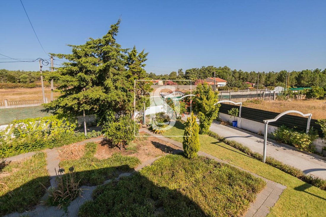 Terre Seixal Dans Fernão Ferro, Setúbal, Portugal à Vendre (12194571)