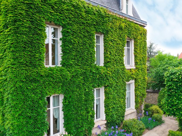 House in Beaune, Bourgogne-Franche-Comté, France 1