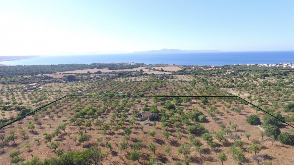 Fincas For Sale In Colonia De In Colònia De Sant Pere, Balearic Islands, Spain For Sale (12197437)