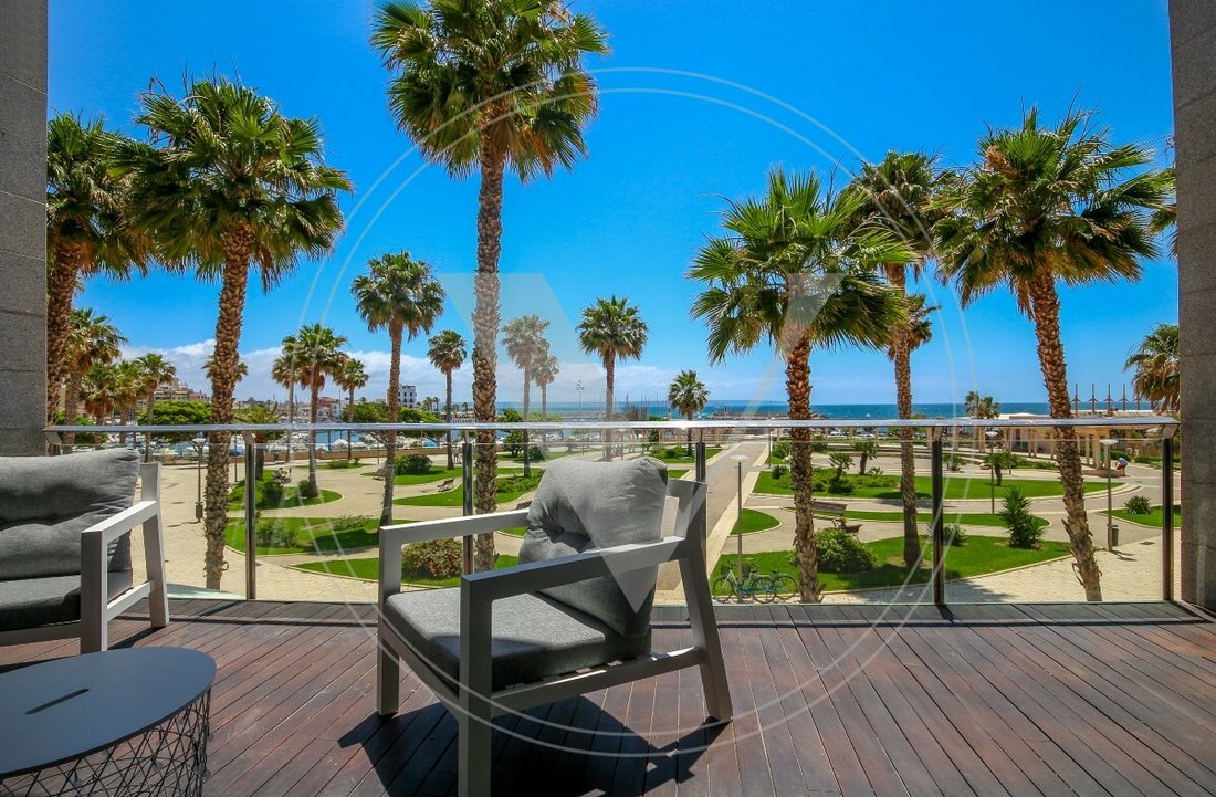 Apartment in Palma, Balearic Islands, Spain 1 - 12201462