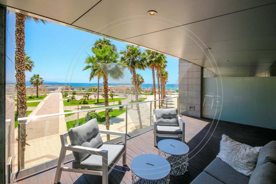Apartment in Palma, Balearic Islands, Spain 2 - 12201462