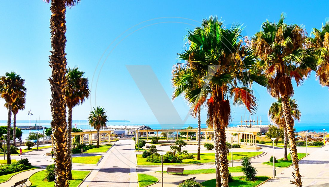 Apartment in Palma, Balearic Islands, Spain 5 - 12201462