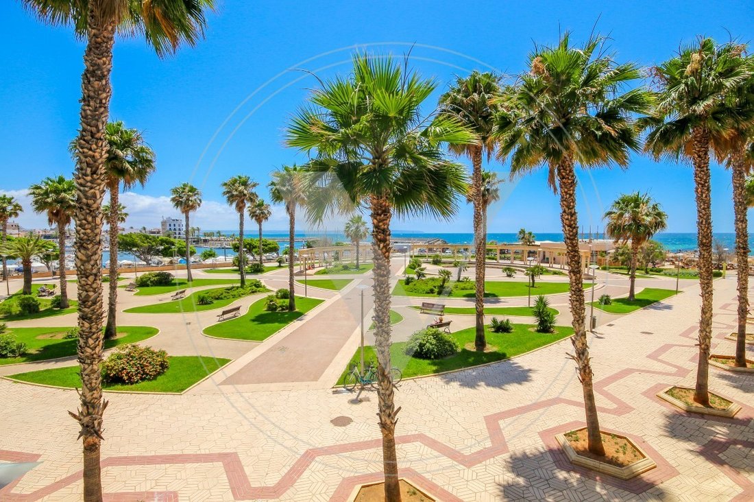 Apartment in Palma, Balearic Islands, Spain 3 - 12201462