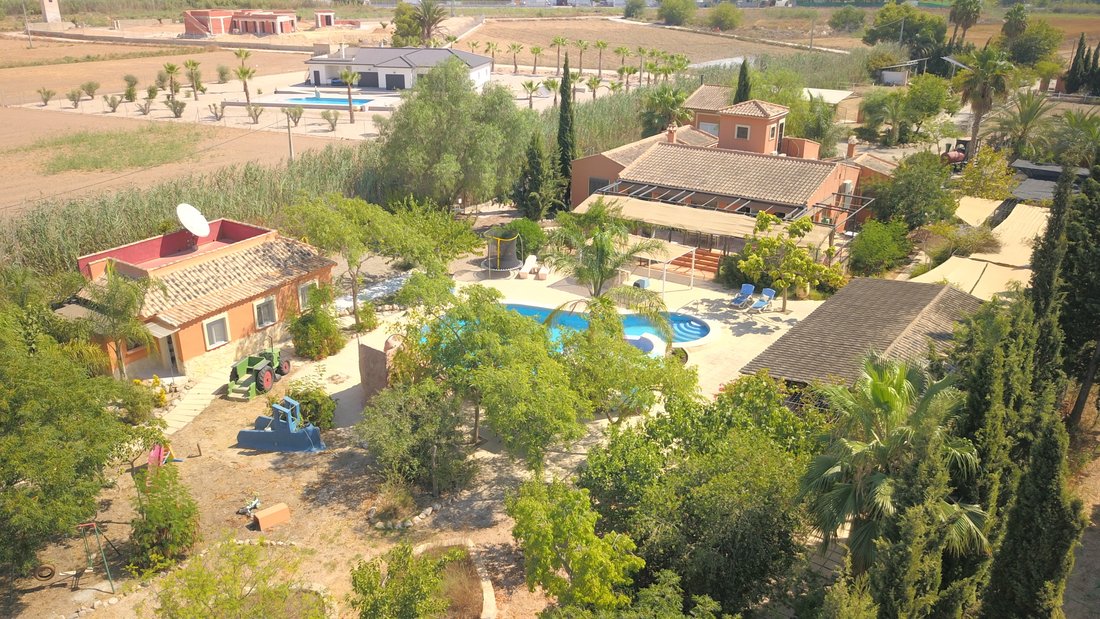 Country House in Catral, Valencian Community, Spain 4 - 12204145