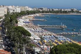 Estate in Cannes, Provence-Alpes-Côte d'Azur, France 5 - 12206099
