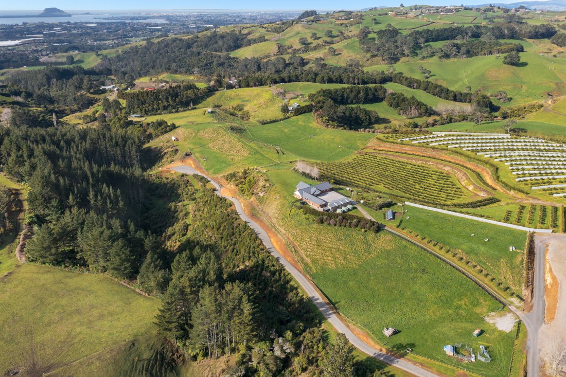 299 Whakamarama Road Whamakarama In Whakamarama, Bay Of Plenty, New