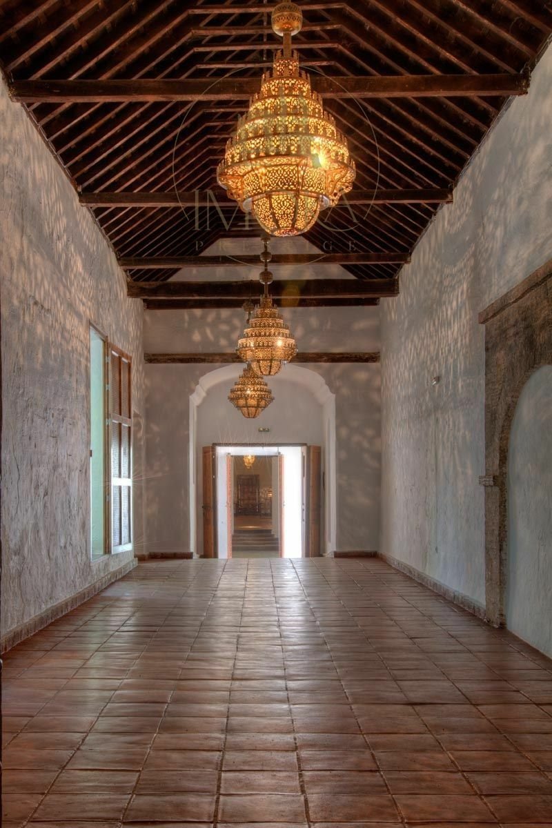 La Mora Blanca: A 16th-Century Andalusian Dream Where Time Stands Still