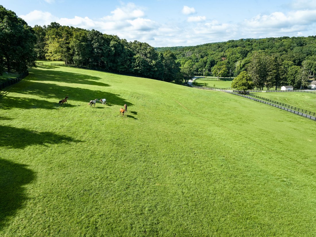 Sunnyfield Farm In Bedford, New York, United States For Sale (12208646)