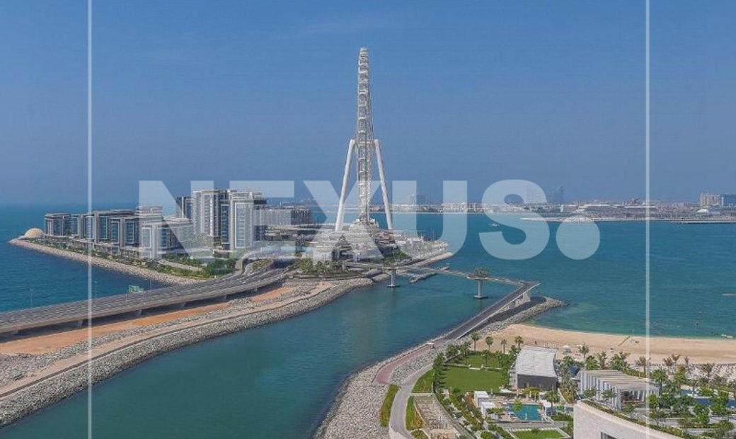 Vista Completa Al Mar Y A Las Palmeras En Dubái, Dubái, Emiratos árabes