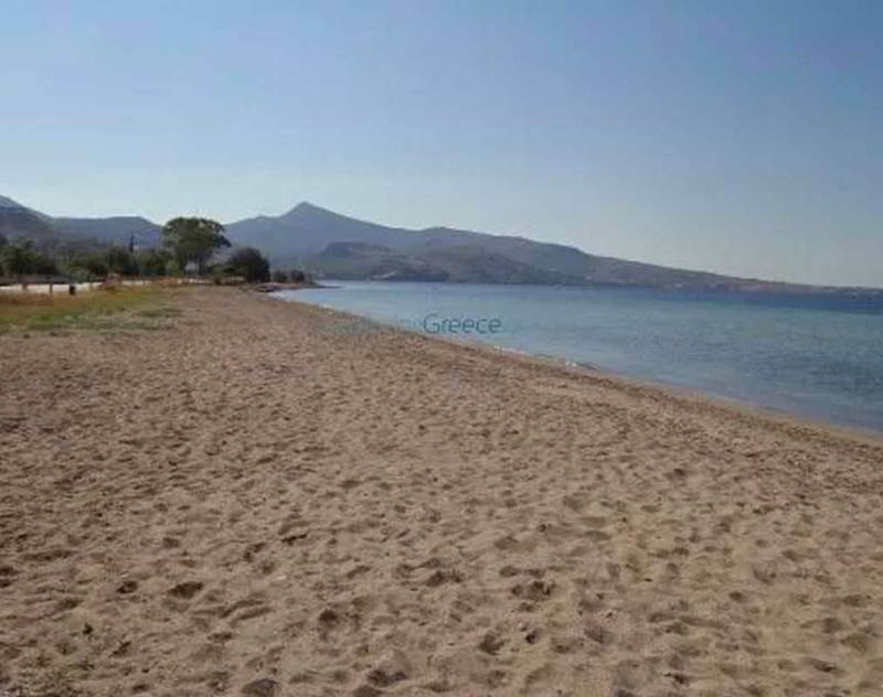 (For Sale) Land Plot In Aegina, Decentralized Administration Of Attica