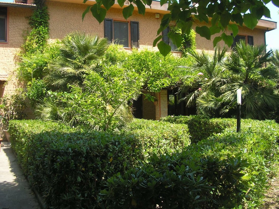 Villa in Fauglia, Tuscany, Italy 2 - 11794785