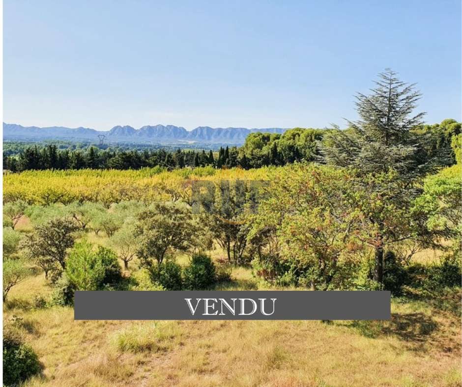 House 330 M² To In Saint Rémy De Provence, Provence Alpes Côte D'azur